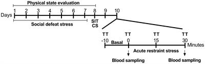 Cardiovascular Reactivity to a Novel Stressor: Differences on Susceptible and Resilient Rats to Social Defeat Stress